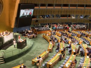 Hawaiian Language Takes Center Stage at United Nations